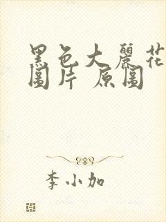 黑色大丽花真实图片 原图