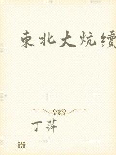 东北大炕续集封面