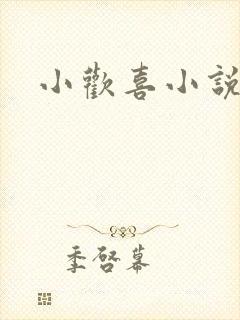 小欢喜小说封面