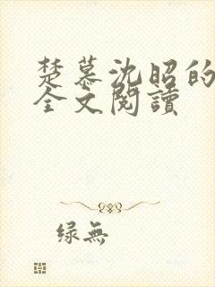 楚慕沈昭的小说全文阅读封面