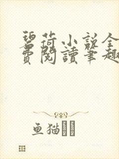 碧荷小说全文免费阅读笔趣阁封面