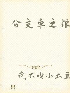 公交车之狼封面