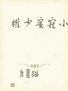 权少蜜宠小娇妻