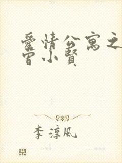 爱情公寓之极品曾小贤封面