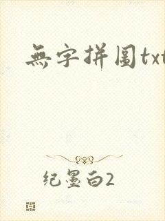 无字拼图txt封面