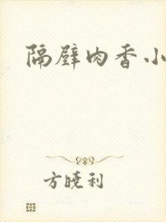 隔壁肉香小说