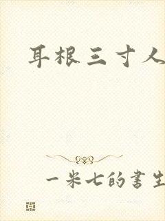 耳根三寸人间封面