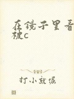 在镜子里看自己被c