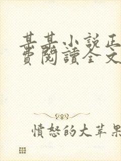 某某小说正版免费阅读全文无弹窗