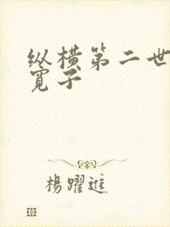 纵横第二世界 宽子