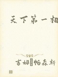 天下第一相书封面