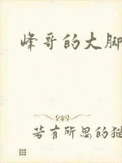 峰哥的大脚