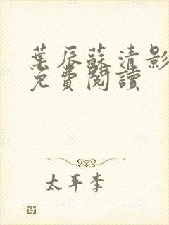 叶辰苏清影全文免费阅读封面