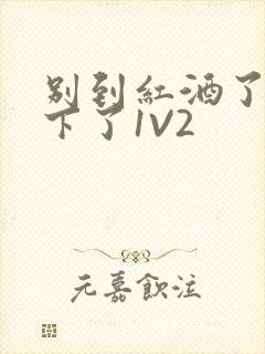 别到红酒了装不下了1V2