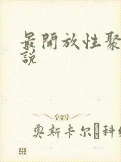 最开放性聚会小说