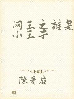 网王之谁是我的小王子