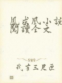 凤求凰小说免费阅读全文封面