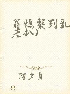 翁熄系列乱 (老扒)封面