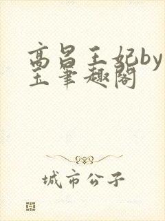 高昌王妃by黛玉笔趣阁封面