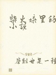 柴火垛里的疯狂小说