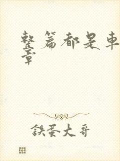 整篇都是车的文章