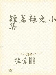 短篇辣文小说合集封面