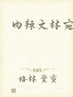 肉辣文林宛宛封面