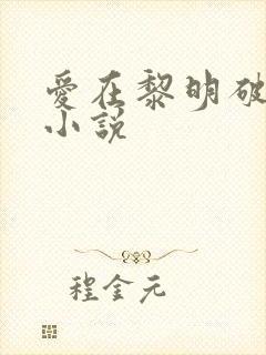 爱在黎明破晓前小说