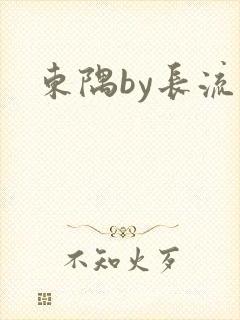 东隅by长流流封面