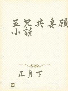 五兄共妻顾心儿小说