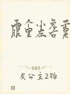 两个小兔子在衣服里左右晃