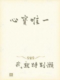 心宝唯一