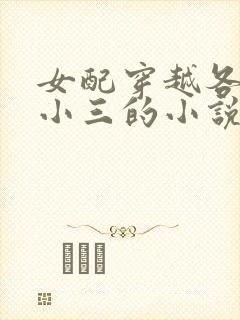 女配穿越各个做小三的小说