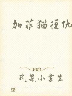 加菲猫复仇记封面