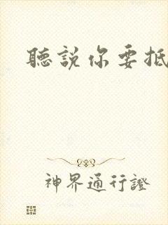 听说你要抵抗我封面