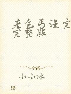 老乞丐没完没了完整版