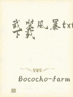 武装风暴txt下载封面