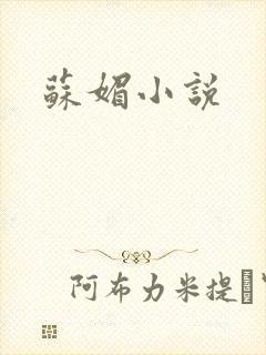 苏媚小说