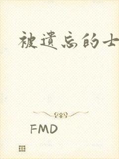 被遗忘的士兵封面