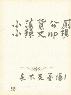 小荡货公厕h文小辣文np视频封面