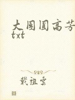 大团圆高芳小说txt