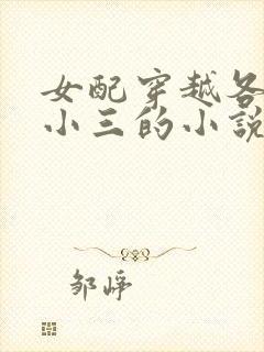 女配穿越各个做小三的小说
