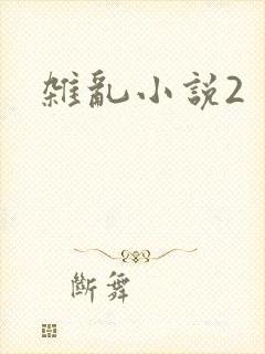 杂乱小说2