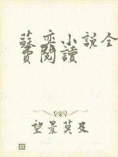 苏奕小说全文免费阅读