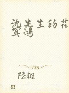 沈先生的花式调冥鸿