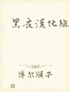 黑夜汉化组
