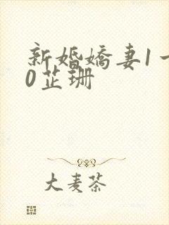 新婚娇妻1一40芷珊