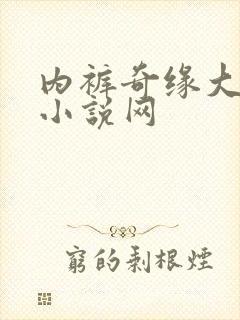 内裤奇缘大团结小说网封面