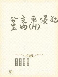 公交车侵犯小男生肉(H)