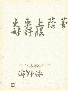 火车上荫蒂添的好舒服封面